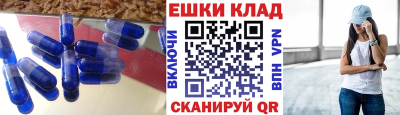 где купить наркоту  Волгореченск  ЭКСТАЗИ диски 