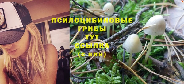 экстази Белокуриха