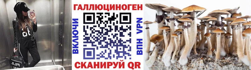 OMG онион  магазин    Волгореченск  Псилоцибиновые грибы ЛСД 